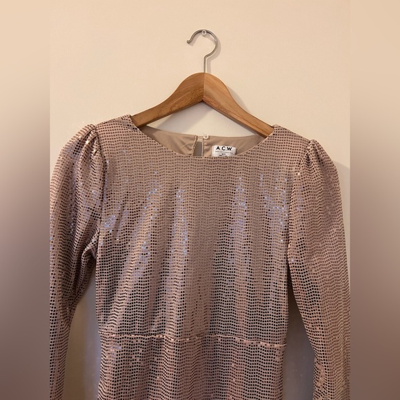 Champaign Sequin Long sleeved Dress (Size Small) - Picture 3 of 7